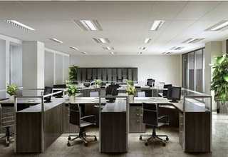 四川辅导石磊老师教育