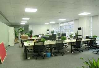 云南芬德生物黄曲霉M1胶体金检测卡